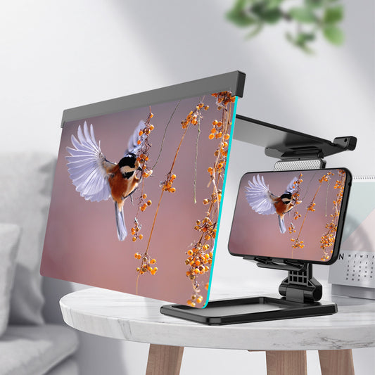 3D Mobile Phone Screen Amplifier For IPad